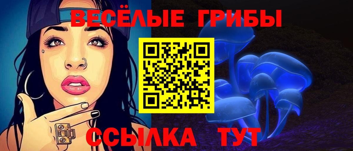Ишим  закладки  Вход с VPN  Псилоцибиновые грибы прущие грибы 